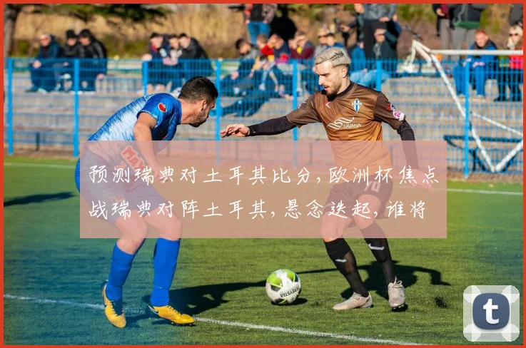 预测瑞典对土耳其比分,欧洲杯焦点战瑞典对阵土耳其,悬念迭起,谁将脱颖而出