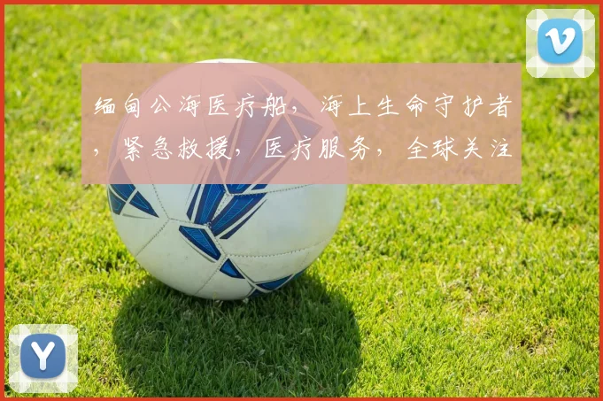 缅甸公海医疗船，海上生命守护者，紧急救援，医疗服务，全球关注