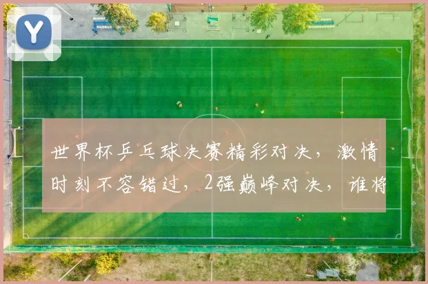 世界杯乒乓球决赛精彩对决，激情时刻不容错过，2强巅峰对决，谁将问鼎荣耀