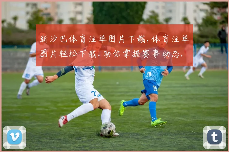 新沙巴体育注单图片下载,体育注单图片轻松下载,助你掌握赛事动态,一触即达