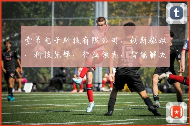 壹号电子科技有限公司，创新驱动，科技先锋，行业领先，智能解决方案专家，助力企业腾飞。