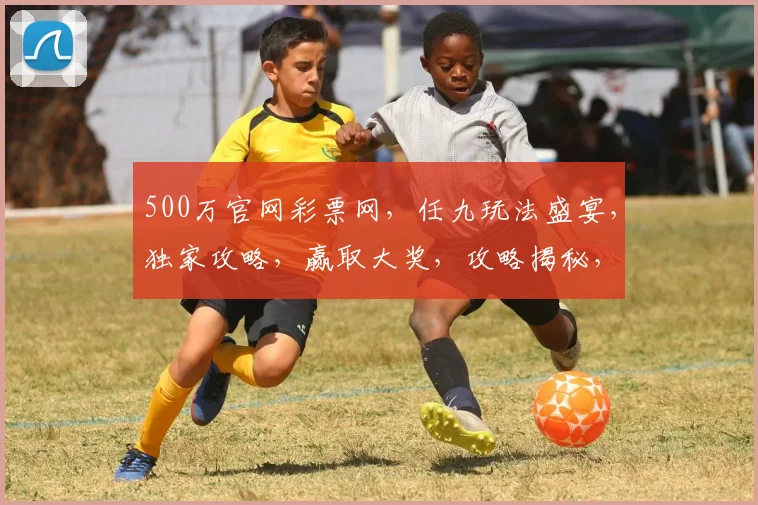 500万官网彩票网，任九玩法盛宴，独家攻略，赢取大奖，攻略揭秘，必看